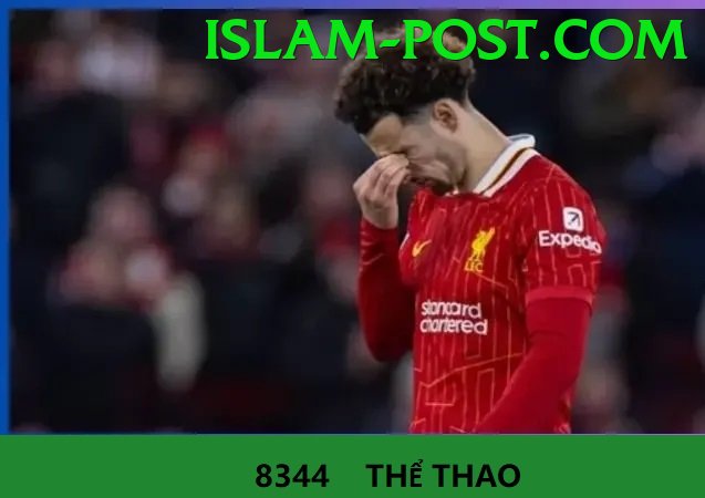 Cá Cược Thể Thao - Ưu đãi đặc biệt